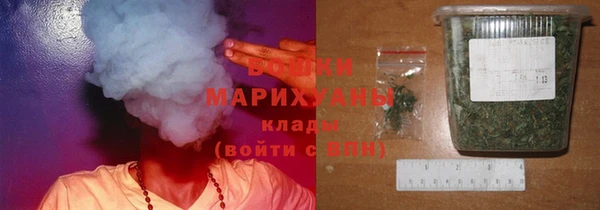 прущие грибы Алексин