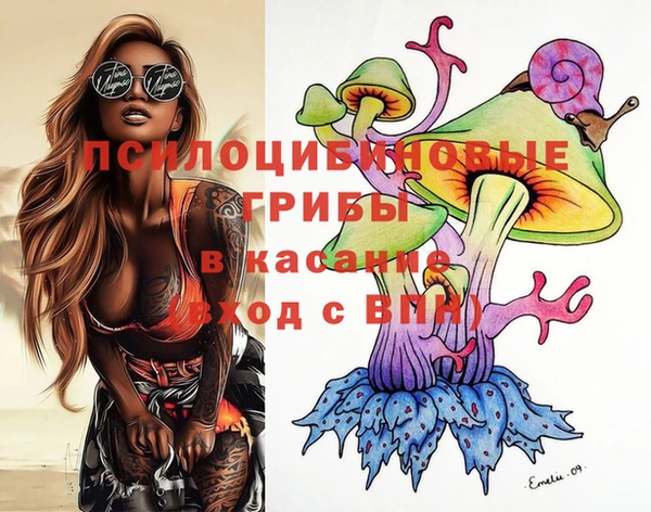 тгк Аркадак